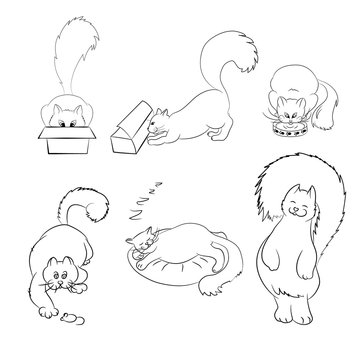 Collection of various figures of a fat happy cat in the style of line art. Set of silhouettes of a pet. Vector illustration. Use for logos of veterinary clinics or pet products. Isolated on a white
