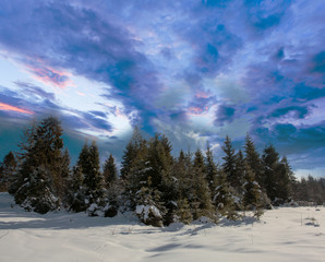 Fototapeta na wymiar Evening in Mountains Carpathians in winter, Ukraine