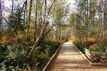 Richmond Nature Park