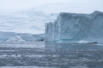 Beautiful icebergs in stunning icy landscapes, Chiriguano Bay, Fournier Bay, Antarctica