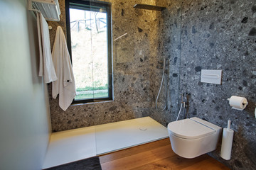 Shower in elegant modern house