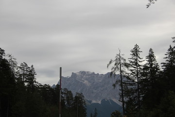 view of mountain through trees