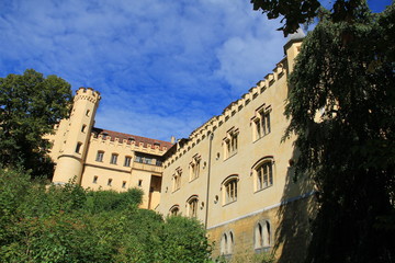 Fototapeta na wymiar castle