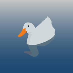 White duck in a pond. Vector illustration.