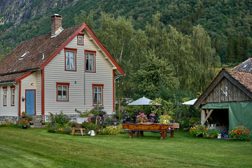 Fototapeta na wymiar Una casa y Cuidado jardin de Noruega