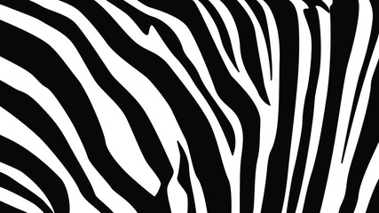 A detail in black and white of Zebra skin