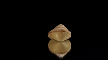 Chinese cookie rotate on a black background. Traditional fortune cookie.