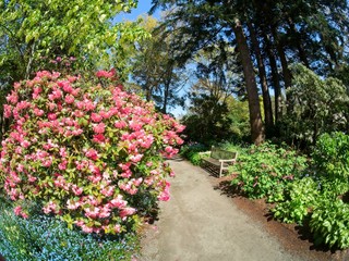 Finnerty Gardens