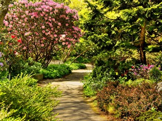 Finnerty Gardens