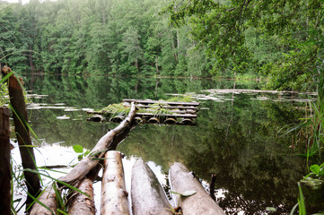 Raft of logs on a forest lake, Russia.