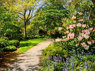 Fototapeta premium Finnerty Gardens