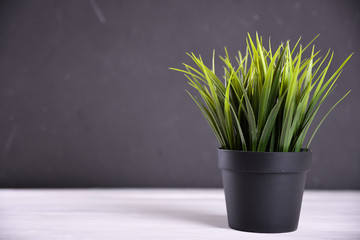 Artificial flowers grass different form in a pot on wooden background close up with copy space and text