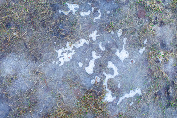 ice surface on the lawn
