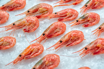Boiled sea prawns lie on ice. Shrimps are laid out one at a time in a refrigerated display case.