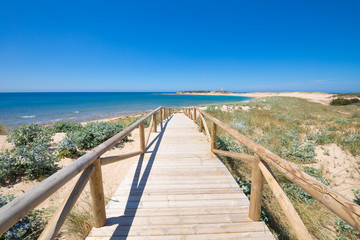 footbridge with wooden planks and banisters to preserve nature to Varadero Beach, in Natural Park of Trafalgar Cape, next to Canos Meca village (Barbate, Cadiz, Andalusia, Spain)