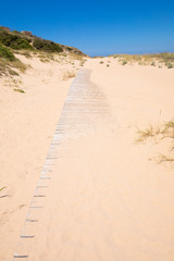 wooden planks pathway covered on beach sand in nature in the Trafalgar Cape, near Canos Meca...