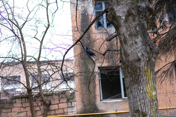 Old house with broken glass