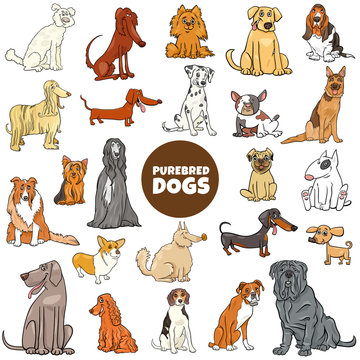 cartoon purebred dog characters large set