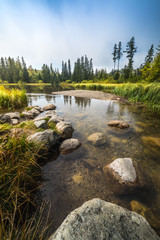 Grass, Trees and Rocks on the Shore of Strba Mountain Lake