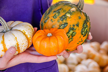Girl holding assorted mini squash and pumpkins