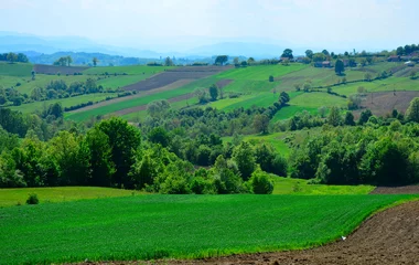 Foto op Plexiglas landschap met groen veld en bomen © predrag