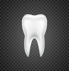 Isolated tooth dental vector realistic white single graphic. Tooth illustration single 3d