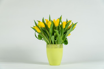 bouquet of tulips