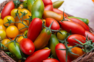 Many small ripe colorful tomatoes