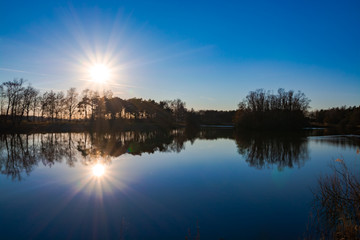 Mirror forest lake with reflection in winter sunny day, de Kempen regio in North Brabant, Netherlands