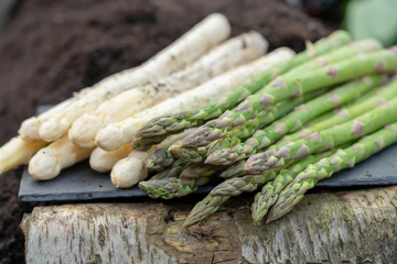 New harvest of white and green asparagus vegetable plant on farm fields in Netherlands and Germany