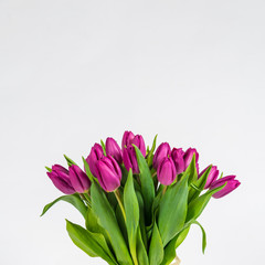 bouquet of tulips