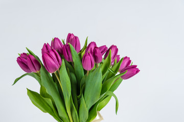 bouquet of tulips
