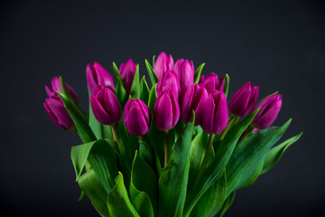 bouquet of tulips