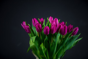 bouquet of tulips