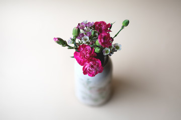 Pink carnation in a vintage vase on a neutral pastel background.