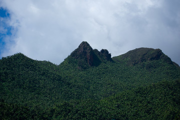 Top of Mountain Peaks in El Yunque Rainforest