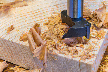 Steel Forstner drill bit. Boring of cylindrical hole into wooden plank. Sharp cutting tool detail....