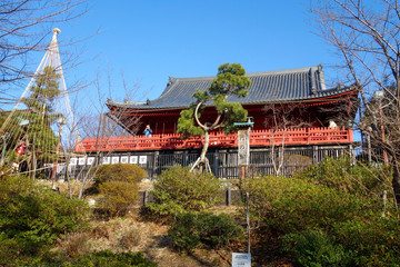 Fototapeta premium 上野公園 清水観音堂