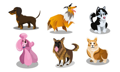 Set of funny cute dogs breeds vector illustration