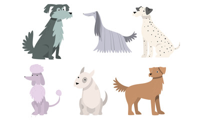 Set of cute big and small dogs breeds vector illustration