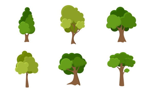 Set of green deciduous summer trees vector illustration