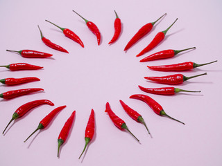 Chilli pepper on the pink background. empty space for your text. circle of chili peppers