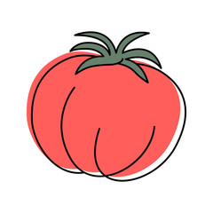 Ripe tomato isolated on white background. Hand drawn style. Healthy food. Italian cuisine. Vector illustration.