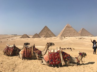 &Auml;gypten Kamele Pyramide Kairo 