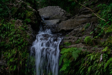 Fototapeta premium Juan Waterfall in Suan Juan Puerto Rico