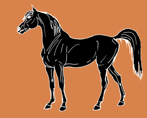 horse, drawing in the style of an ancient Greek black statuette on ceramics,  isolated image on an orange background. Classical ancient Greek style 