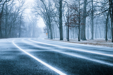 Road surrounded by trees as snow falls on snowy winter day.