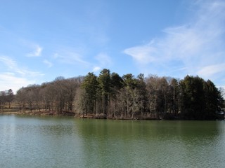 lake in the forest