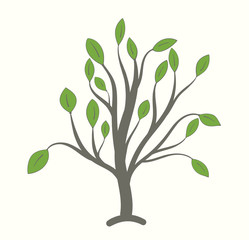 Tree with thick branches and large green leaves on a light background