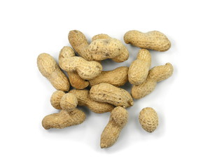 Peanuts isolated on the white background. Peanuts pod or arachis isolated on white background